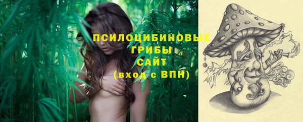 2c-b Надым