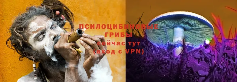 omg сайт  Малаховка  Псилоцибиновые грибы прущие грибы  наркота 